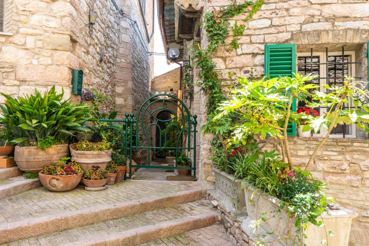 La Viola Di Assisi Hotell Eksteriør bilde